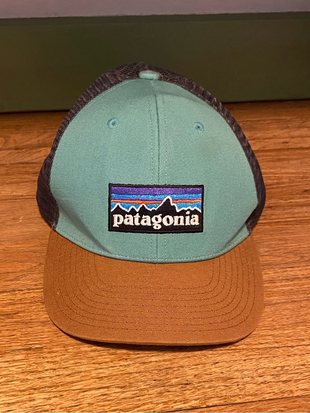Patagonia trucker hat